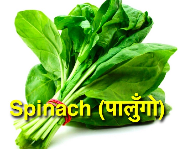 Vegetables in Nepali & English translation Nepali Class