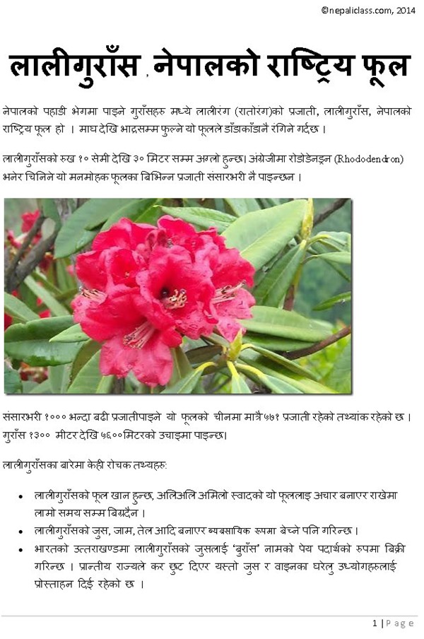 Flowers Name With Picture In Nepali Flowers Names In Nepali